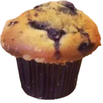 Blueberry Muffin