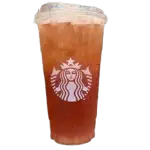 Starbucks Iced Black Tea