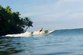 Simplify Your Daily Surfing Routine with 링크파티 1 image 1