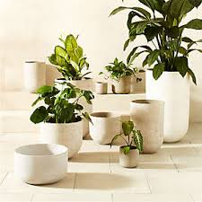 Beige Outdoor Planters – Clean, Calm, and Modern 1 image 3